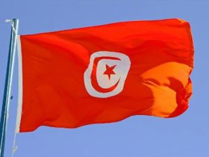 Протесты в Тунисе набирают силу: власти ввели войска, арестованы почти 600 человек