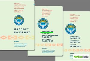 Киргизские чиновники объяснили свою безграмотность «тонким пиар-ходом»
