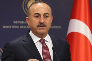Чавушоглу посетит Германию