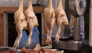 Российскую курятину признали опасной для жизни