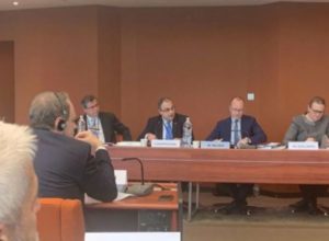 Владимир Варданян избран председателем подкомиссии ПАСЕ по правам человека