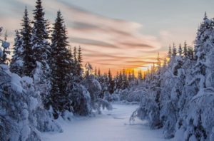 В ближайшие дни температура воздуха снизится на 18-20 градусов