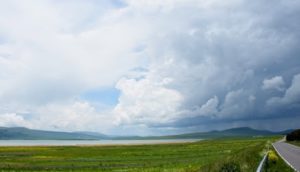 Грузия создаст заповедник на границе с Арменией