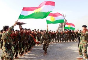 Сирийские курды попросили международной помощи, чтобы судить членов группировки «ИГ»