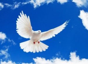 Международный день мира