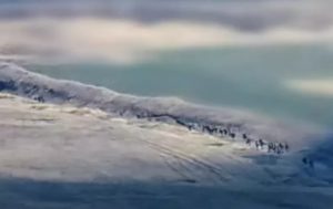 Азербайджанские военные отступают (видео)