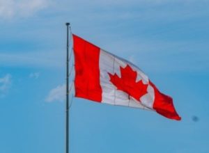 Канадский сенатор: Турция открыто участвует в своих постоянных усилиях по уничтожению армянского народа