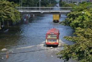Как страны мира готовятся к катаклизмам, вызванным изменением климата