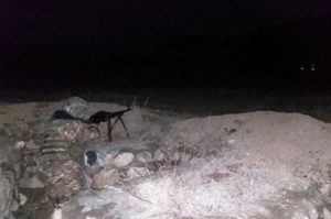 Атаки ВС Азербайджана отбиты, противник понес большие потери в живой силе