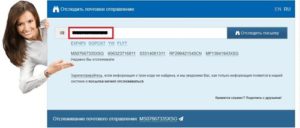 Как ZeroParcels поможет отследить посылку?