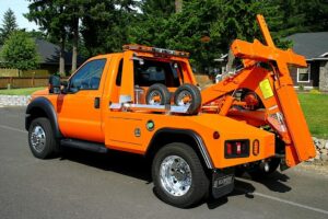 Разновидности эвакуаторов