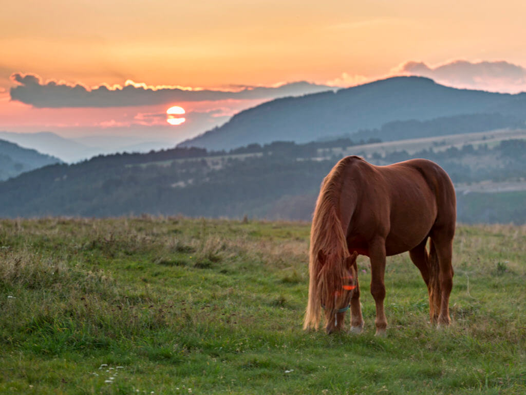 Россия выделит Армении $3 млн гранта на развитие туризма в сёлах