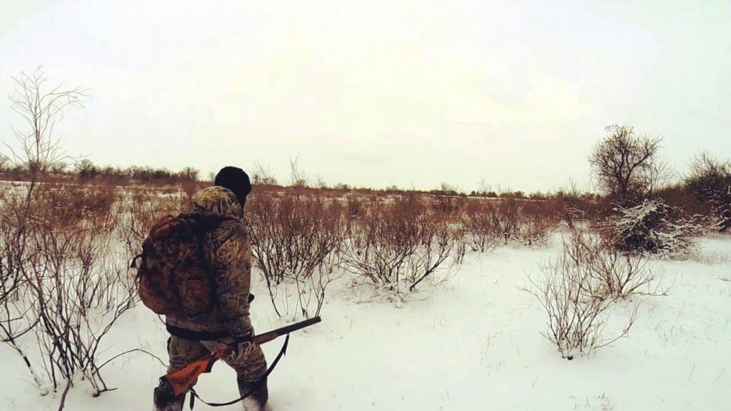 В России собака застрелила своего хозяина