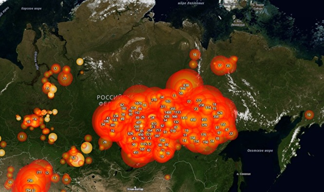 Площадь лесных пожаров в России сопоставима с территорией Бельгии или Крыма