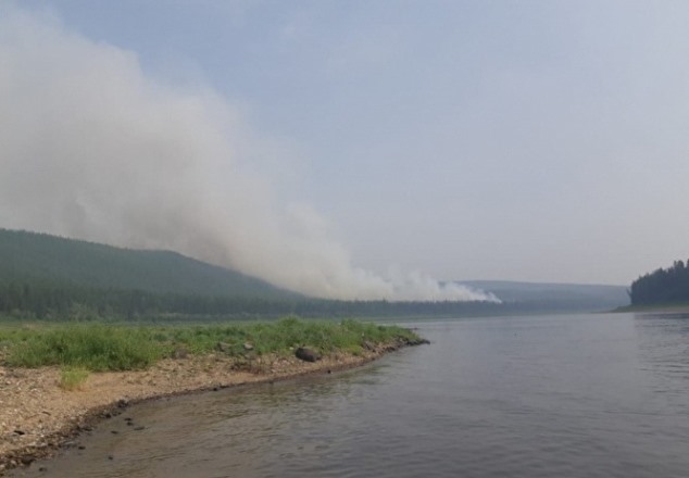 Какой урон будет нанесен экосистеме Сибири после лесных пожаров