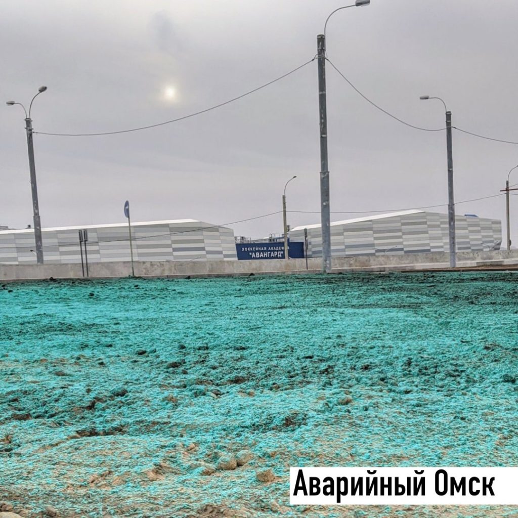 В Омске к приезду Путина в городе "покрасили" траву