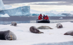 Экспедиционные круизы: Новый год 2023 в Антарктиде