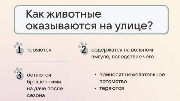 Вконтакте, Better и "Благополучие животных" запускают акцию #отвечаюзахвост