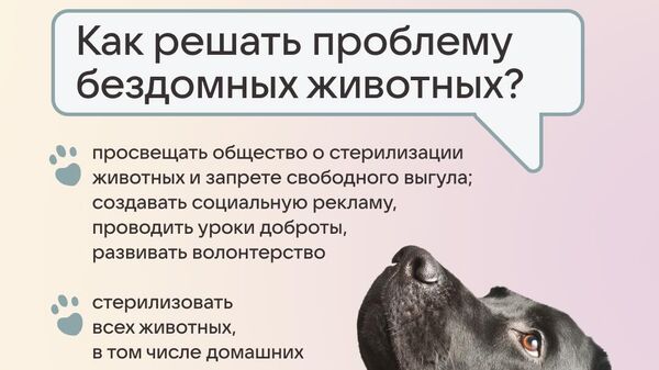 Вконтакте, Better и "Благополучие животных" запускают акцию #отвечаюзахвост