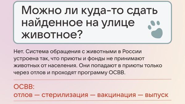 Вконтакте, Better и "Благополучие животных" запускают акцию #отвечаюзахвост