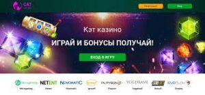Онлайн казино Cat Casino: обзор популярного игрового сайта
