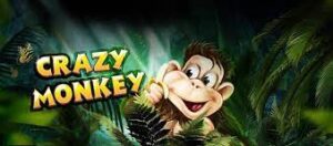 Описание системы игрового аппарата Crazy Monkey
