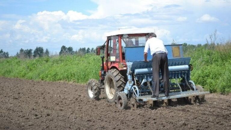 Удержать специалистов в селах Приамурья помогает федеральная программа