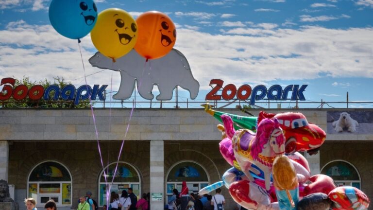 Ленинградский зоопарк в жару ставит животным дополнительные бассейны