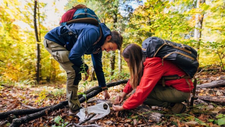 В России начали штрафовать за сбор грибов, занесенных в Красную книгу