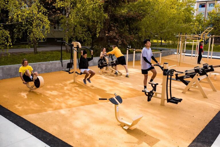 Спортивное оборудование для улиц: особенности и польза