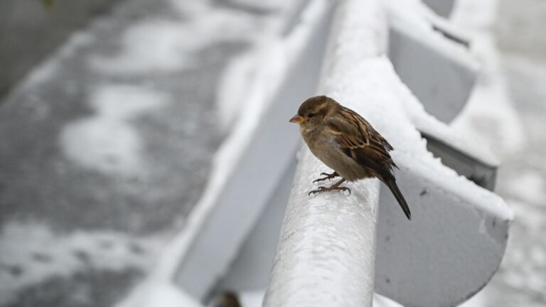 Москвичам стоит быть внимательными вечером в воскресенье из-за гололедицы