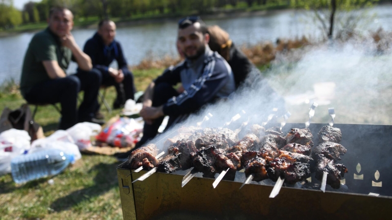 Врач объяснил, чье мясо лучше всего подходит для шашлыка