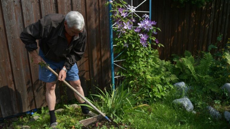 Дачникам порекомендовали снизить темп работ во время магнитных бурь