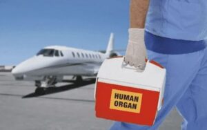 Перевозка лекарств в самолёте: правила, нормы и требования