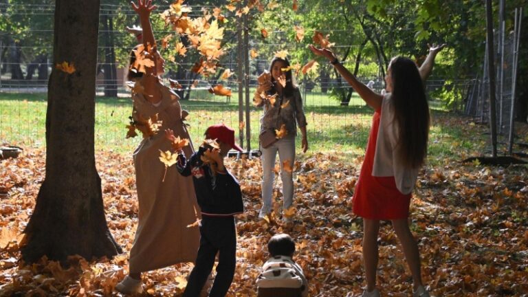 В европейскую часть России в начале октября вернется летняя погода