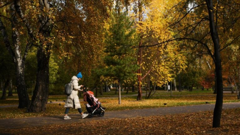 Комитет Госдумы поддержал проект о штрафах за пропаганду чайлдфри