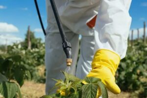 обработка сада от вредителей и болезней