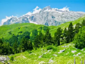 Откройте мир: индивидуальные путешествия вашей мечты