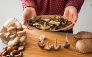 Целебные свойства сушёных грибов: польза, применение и рекомендации