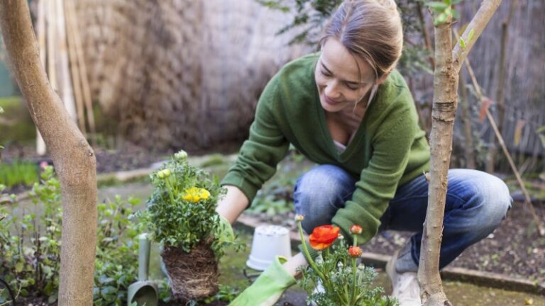 25 марта: какой сегодня праздник, что отмечают в России и мире?
