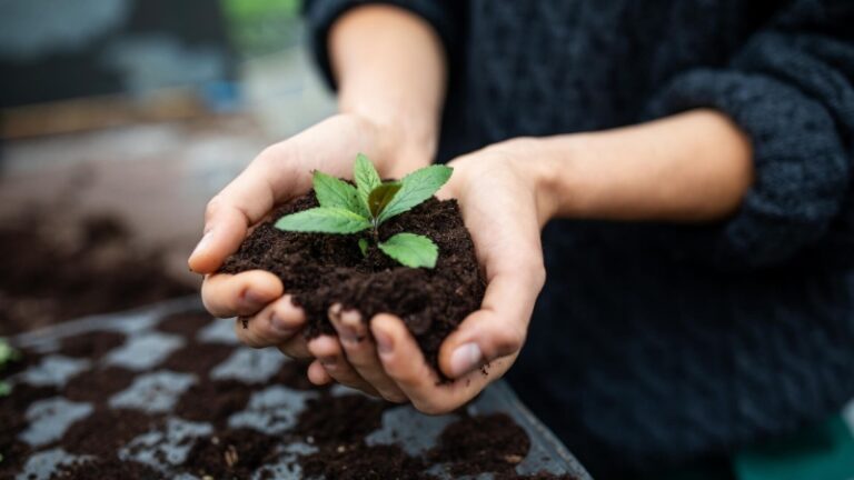 Посевной календарь на апрель-2025: благоприятные и неблагоприятные дни