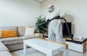 Безопасное проживание: почему стоит заказать профессиональную обработку квартиры
