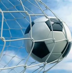 Как выбрать спортивную сетку: руководство по типам и параметрам